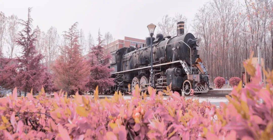 “交”美<strong></p>
<p>币交所</strong>！滤镜后的交院