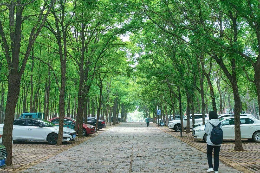 “交”美<strong></p>
<p>币交所</strong>！滤镜后的交院