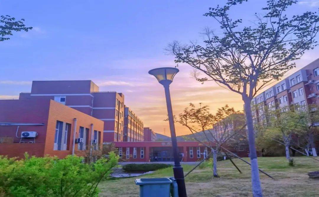 “交”美<strong></p>
<p>币交所</strong>！滤镜后的交院