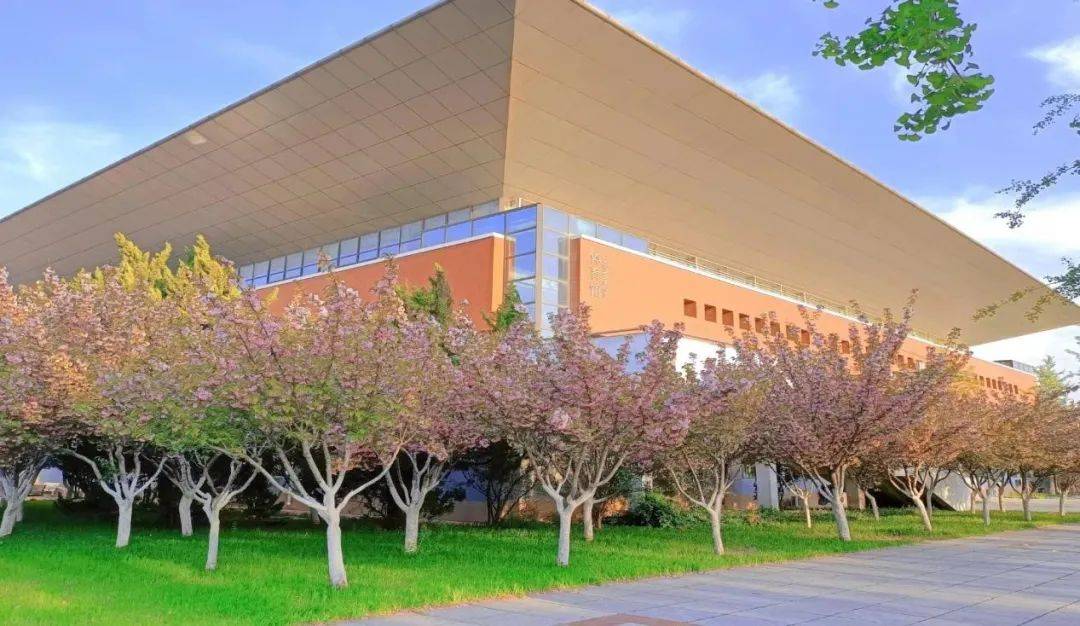 “交”美<strong></p>
<p>币交所</strong>！滤镜后的交院