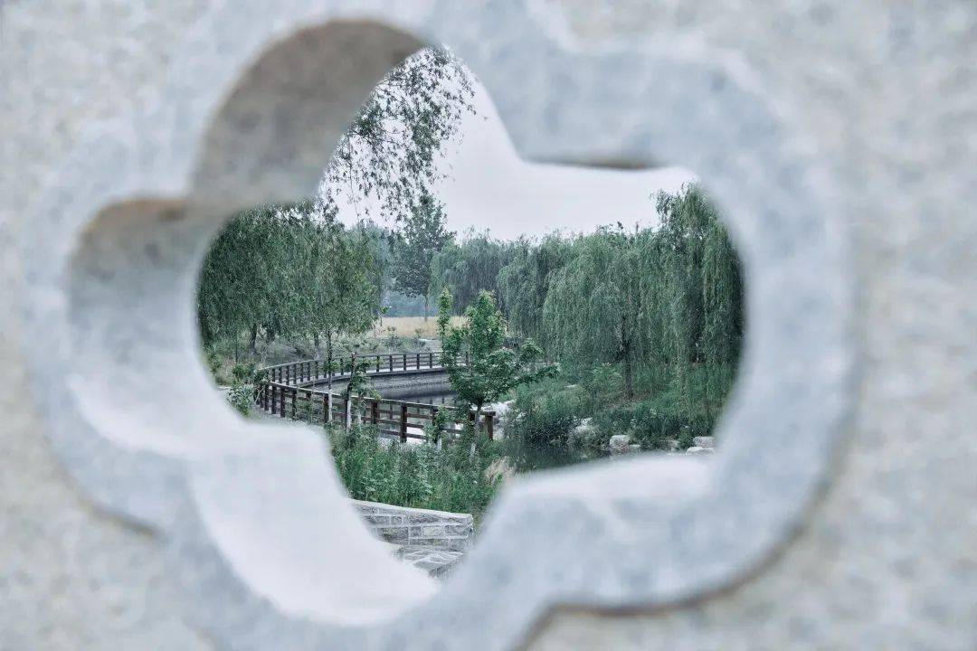 “交”美<strong></p>
<p>币交所</strong>！滤镜后的交院