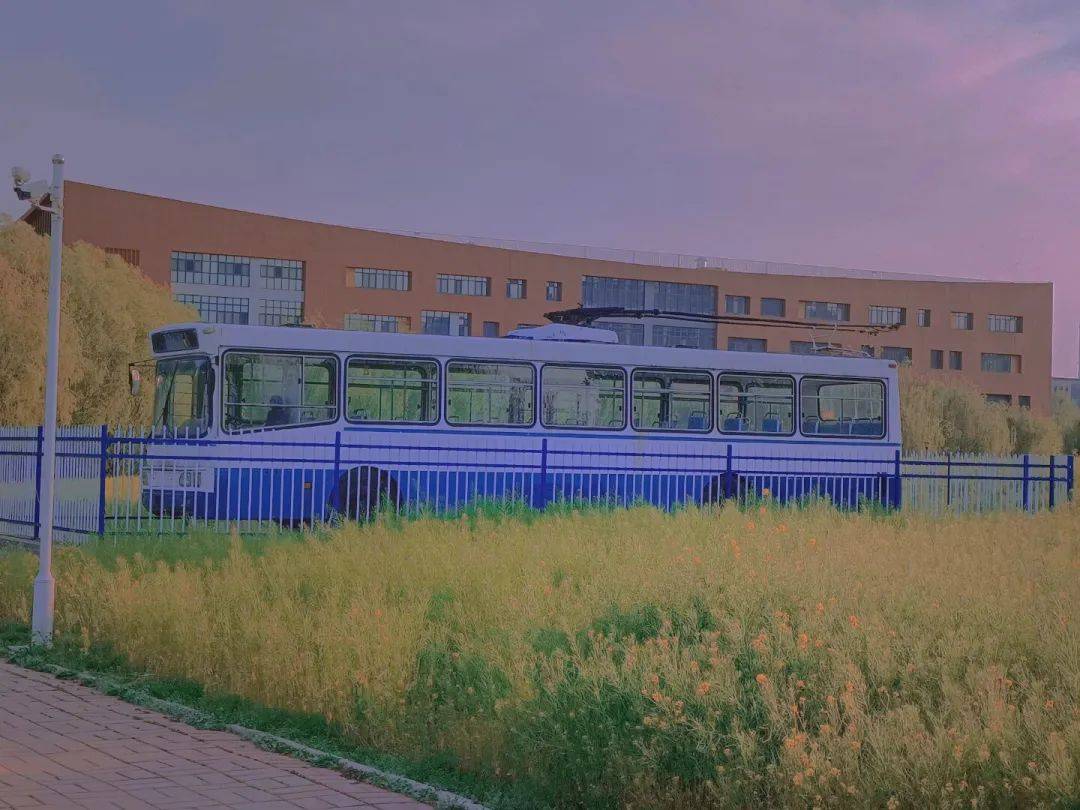 “交”美<strong></p>
<p>币交所</strong>！滤镜后的交院