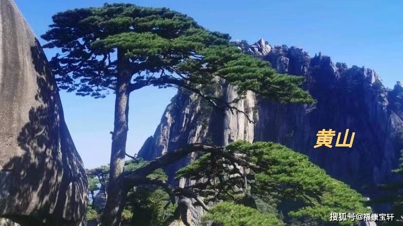 虎币行情创历史新高<strong></p>
<p>狗狗币行情</strong>，黄山和峨眉山纪念币要来了吗？