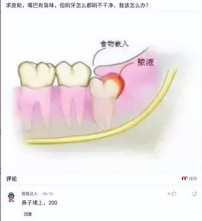 轻松一刻:Doge今年已经15岁了<strong></p>
<p>doge币种</strong>,时间过得真快