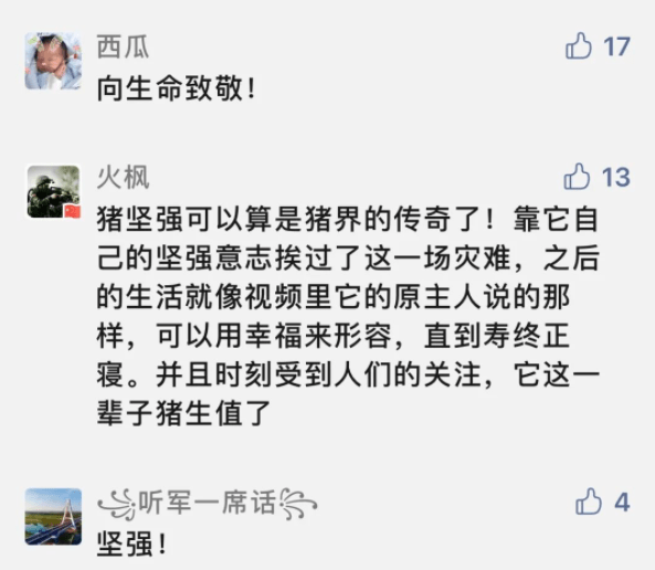 “猪坚强”是一个什么符号<strong></p>
<p>符号交易</strong>?