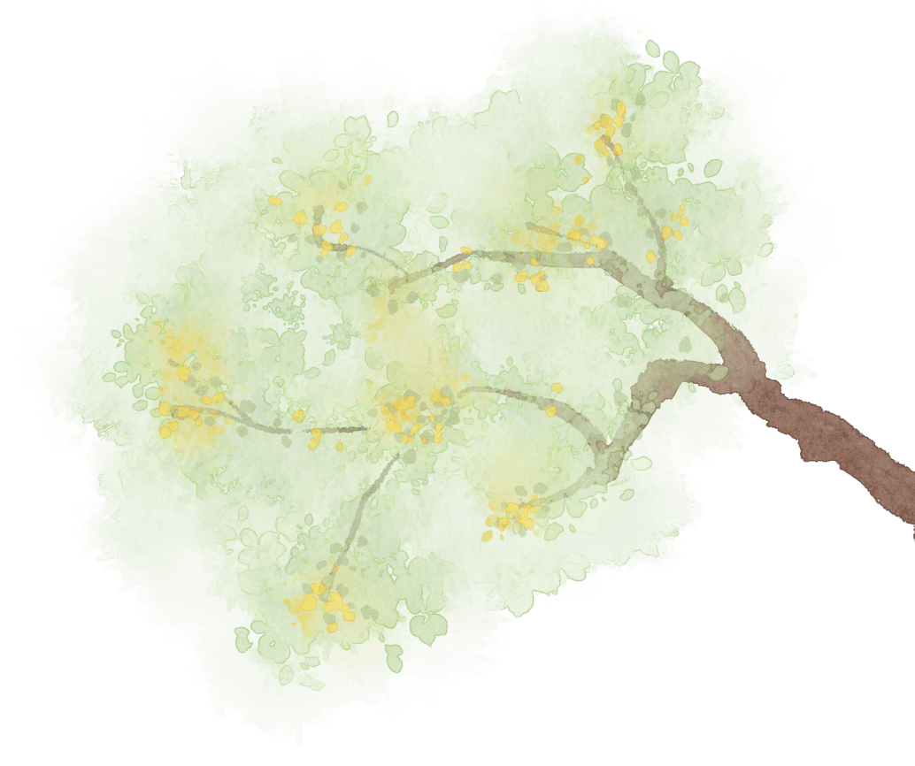 符号学方法与应用