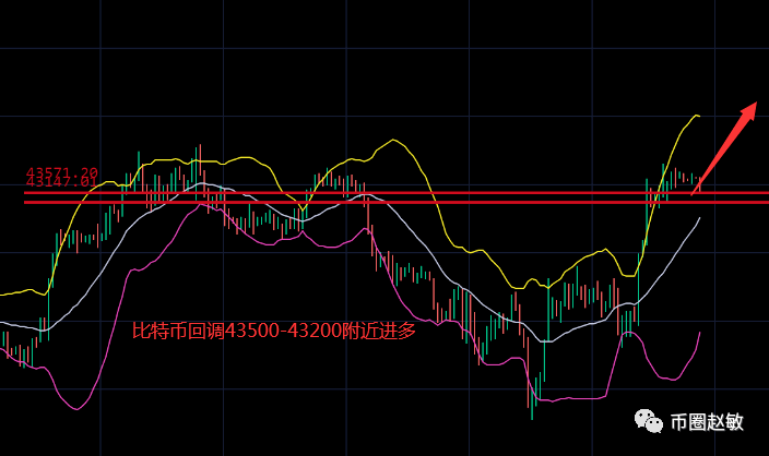 币圈赵敏:3.3比特币震荡蓄力<strong></p>
<p>莱特币价格今日行情</strong>,日内回踩低位再冲高
