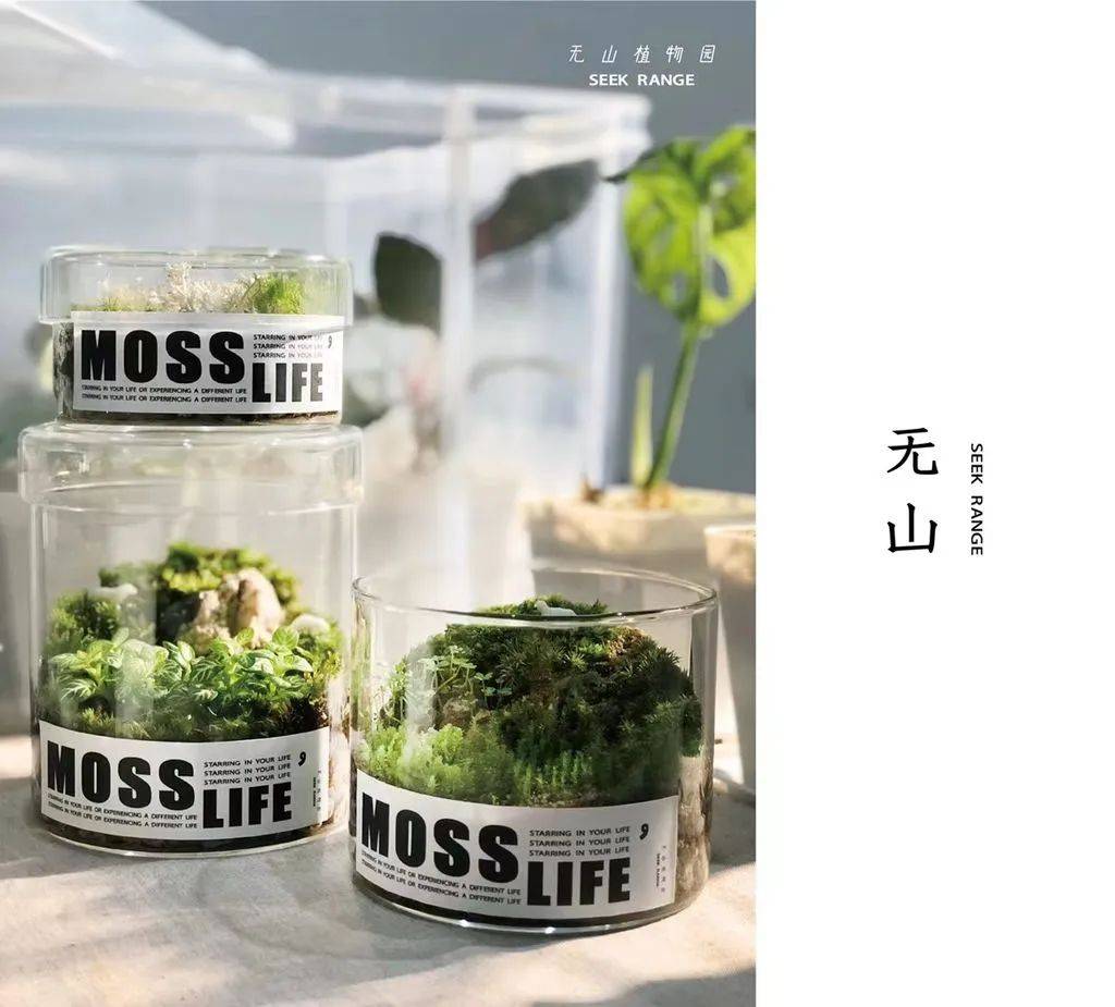 活动|春集变身夏集<strong></p>
<p>numeraire</strong>!Summer Art Fair Coming!