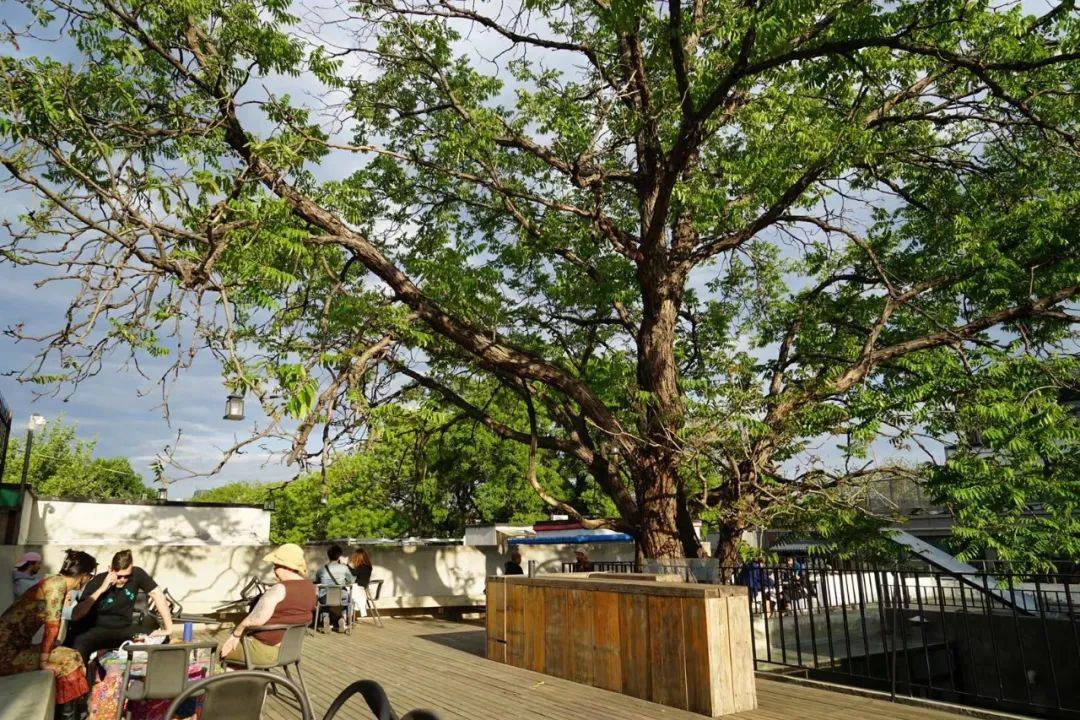 活动|春集变身夏集<strong></p>
<p>numeraire</strong>!Summer Art Fair Coming!