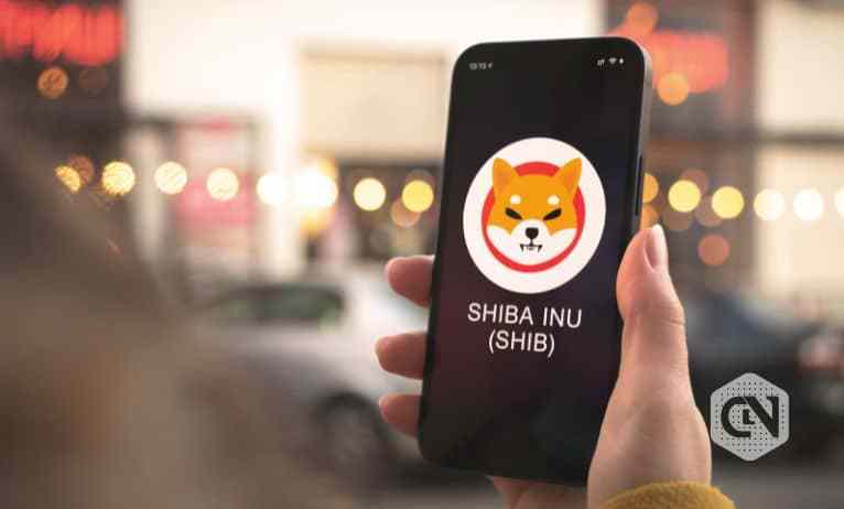 Shiba Inu (SHIB) 从 2022 年 6 月的低点开始大幅上涨！
