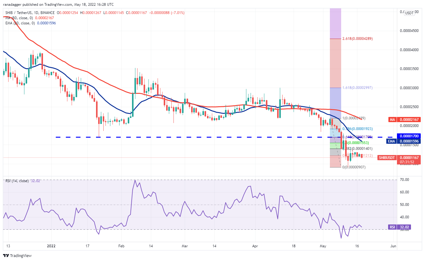 SHIB/USDT（柴犬）还有未来吗<strong></p>
<p>shib币价格今日行情</strong>？