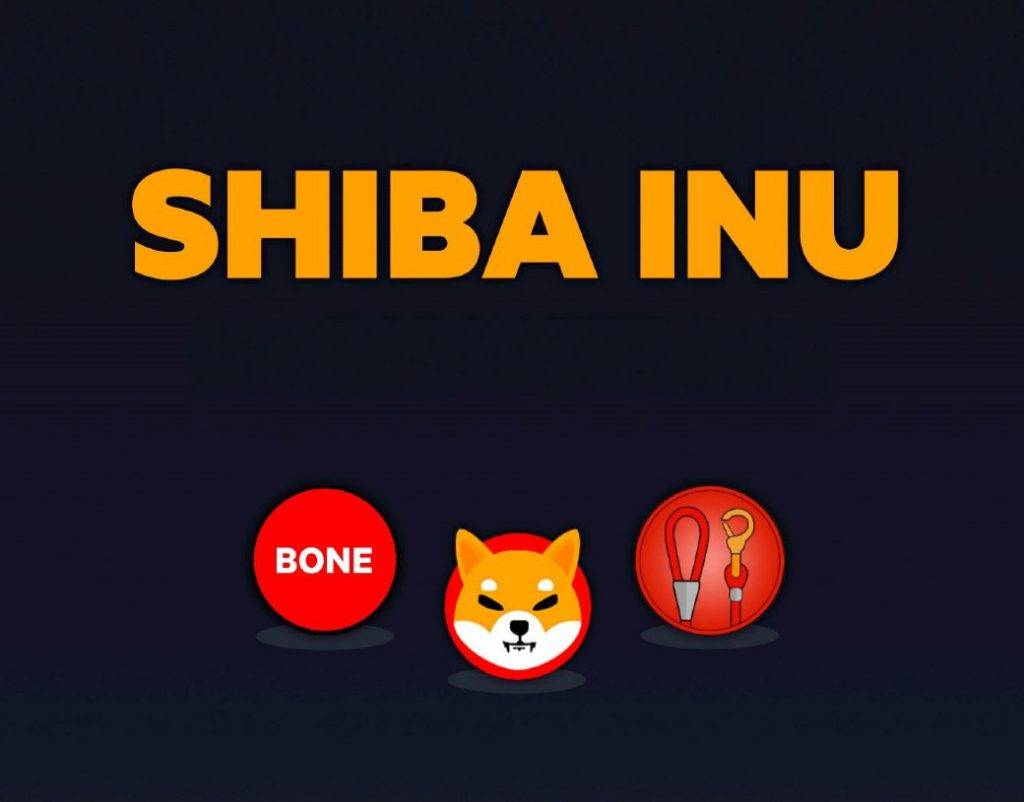 Shiba Inu 的骨头价格翻倍：30 天内从 0.50 美元突破 1 美元