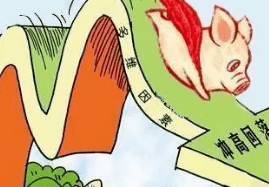 生猪期货再刷历史高点<strong></p>
<p>期货历史</strong>，猪价未来的走势如何？