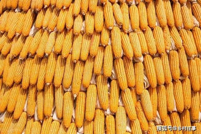 玉米期货小幅收高<strong></p>
<p>期货商</strong>，交易商关注美国作物天气