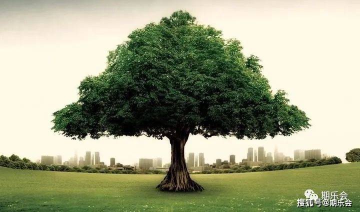 交易导师孟德稳：年薪百万的期货交易员是如何炼成的<strong></p>
<p>期货是交易</strong>？