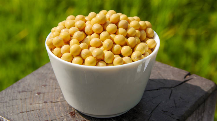 王德诚：7.11破位走高机会来临<strong></p>
<p>燃油期货</strong>！甲醇白糖燃油豆粕期货行情分析