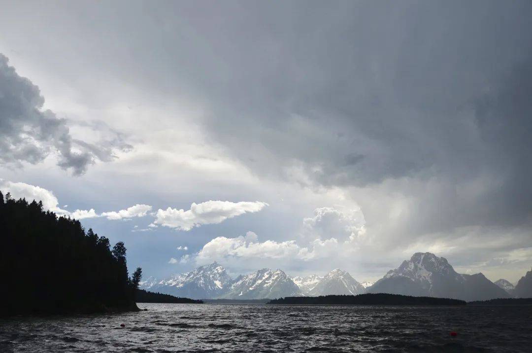 做好期货行情的归纳