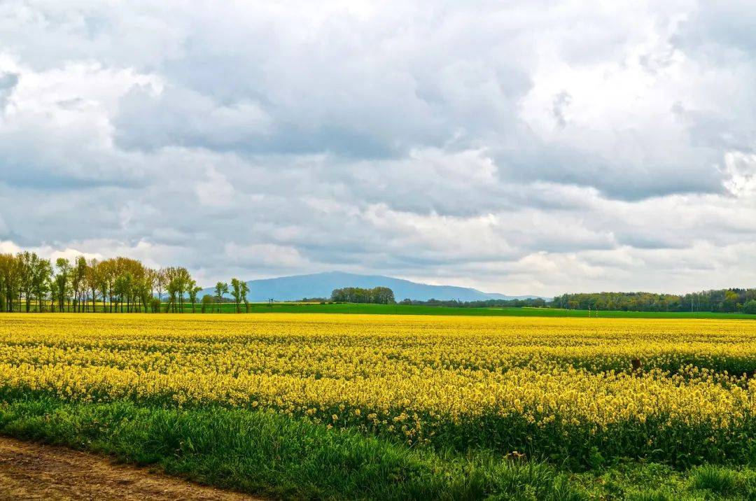 两句话简单概括做期货