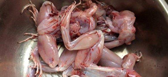 牛蛙煲怎么做如何做好吃