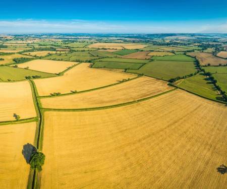 一手普麦需要缴纳多少保证金<strong></p>
<p>期货开仓</strong>?普麦期货的杠杆怎么算呢?