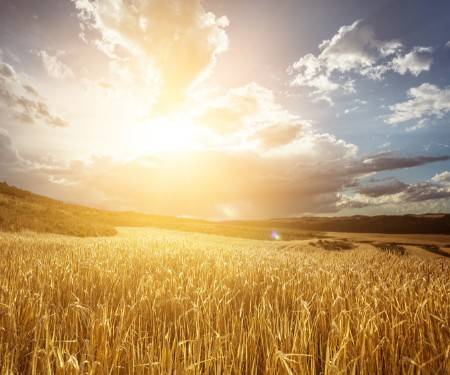 普麦期货的手续费是多少<strong></p>
<p>期货开仓</strong>?一手波动一个点是多少钱呢?