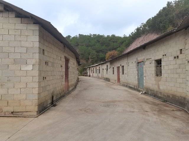 禁养区散户养殖年内将全部退出<strong></p>
<p>期货散户</strong>!玉溪星云湖流域实施畜禽分类分区退出