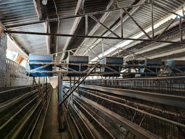 禁养区散户养殖年内将全部退出<strong></p>
<p>期货散户</strong>!玉溪星云湖流域实施畜禽分类分区退出