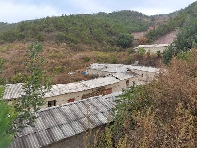 禁养区散户养殖年内将全部退出<strong></p>
<p>期货散户</strong>!玉溪星云湖流域实施畜禽分类分区退出