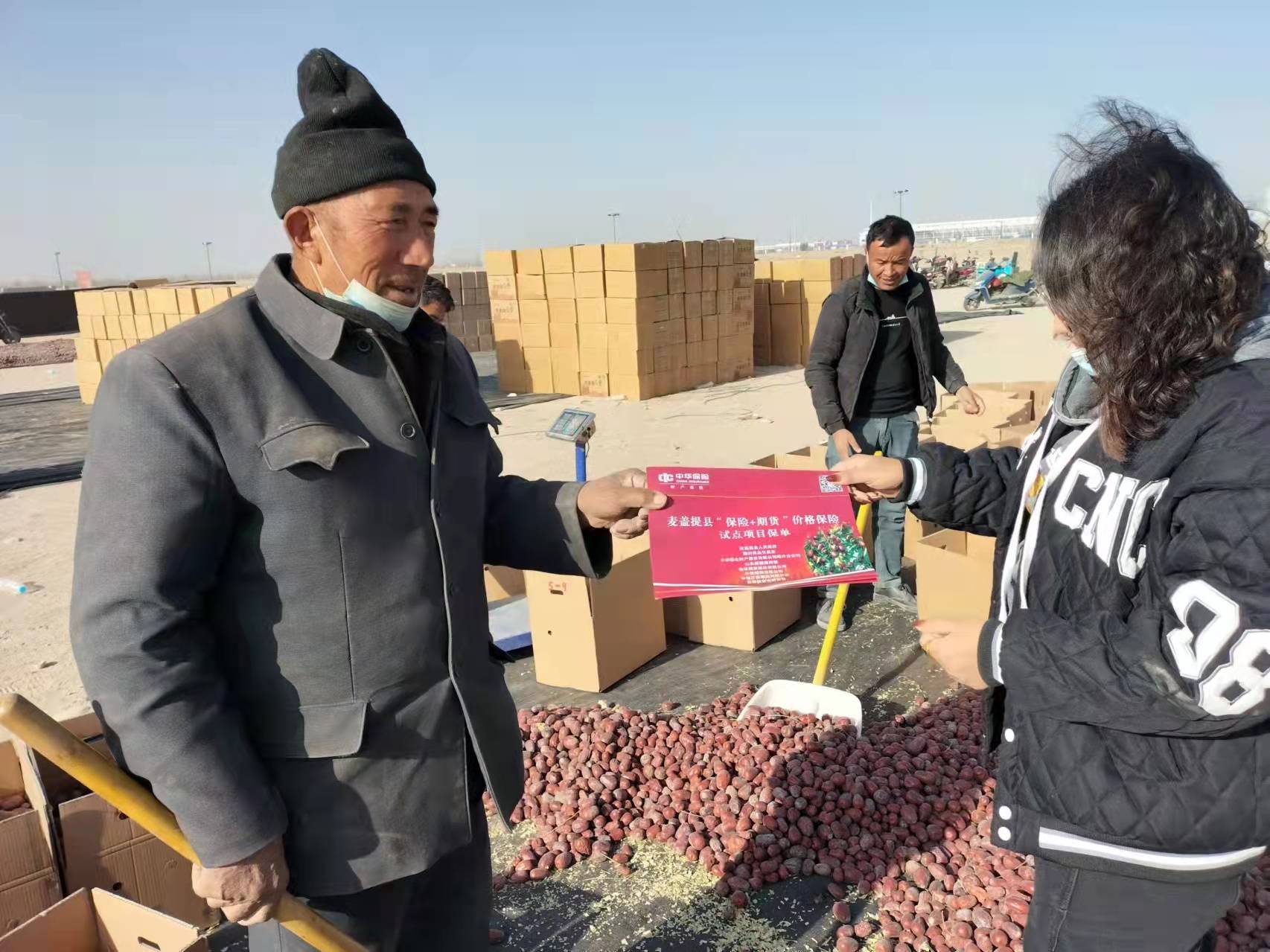 “保险+期货”让红枣成为增收致富“金果果”