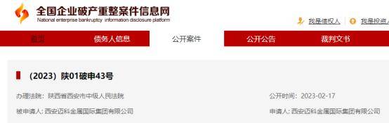 大宗商品贸易巨头申请预重整<strong></p>
<p>大宗期货</strong>,年营收近1600亿!对旗下期货公司有何影响?回应来了