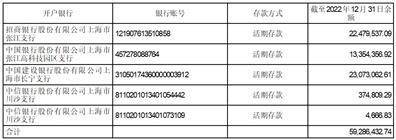 晶晨半导体（上海）股份有限公司 关于开展套期保值业务的公告