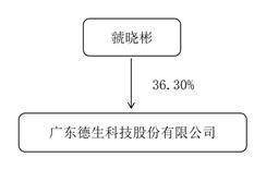 广东德生科技股份有限公司2022年度报告摘要