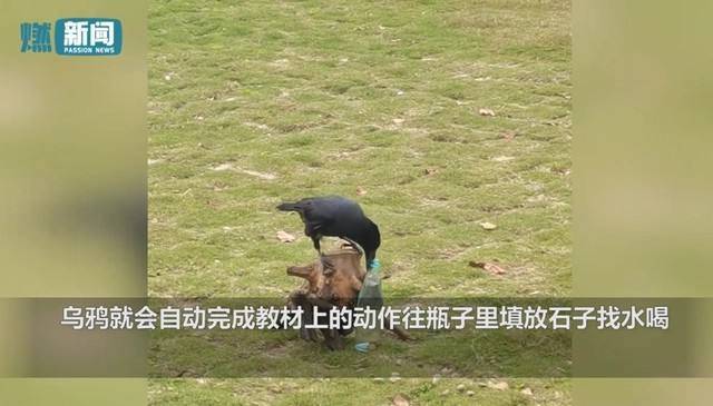 “财经大V”被罚1亿 / 丁克夫妇300万退休