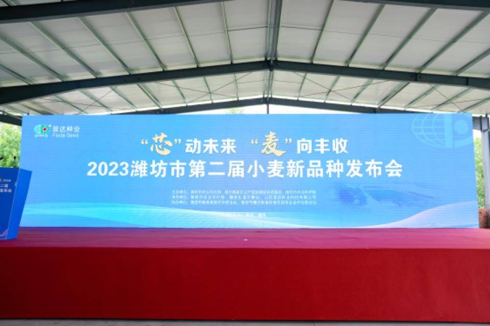 “芯”动未来“麦”向丰收<strong></p>
<p>麦麦理财</strong>,小麦新品种“潍麦13“亮相高密