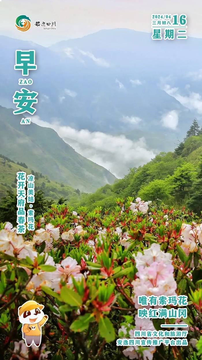 安逸四川日历海报｜唯有索玛花，映红满山冈