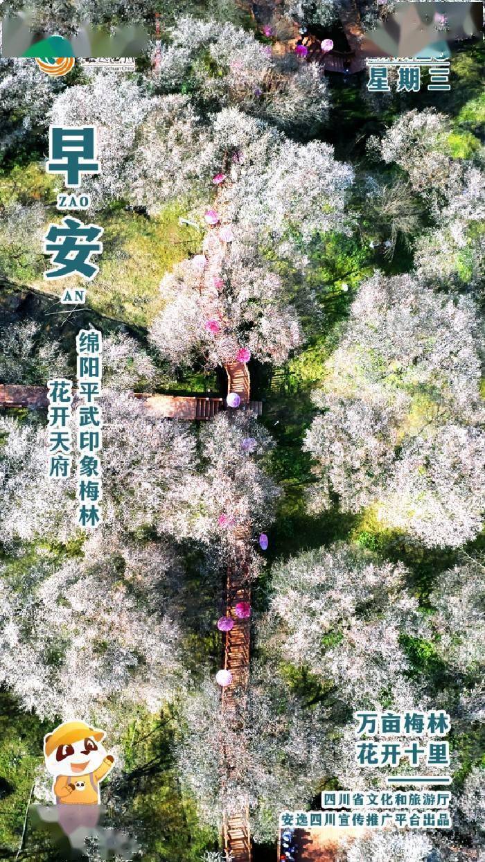 安逸四川日历海报|万亩梅林<strong></p>
<p>安逸花还款</strong>,花开十里