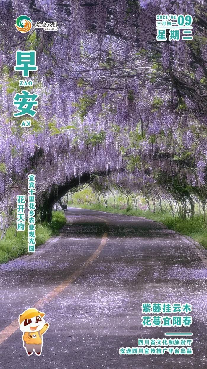 安逸四川日历海报｜紫藤挂云木<strong></p>
<p>安逸花还款</strong>，花蔓宜阳春