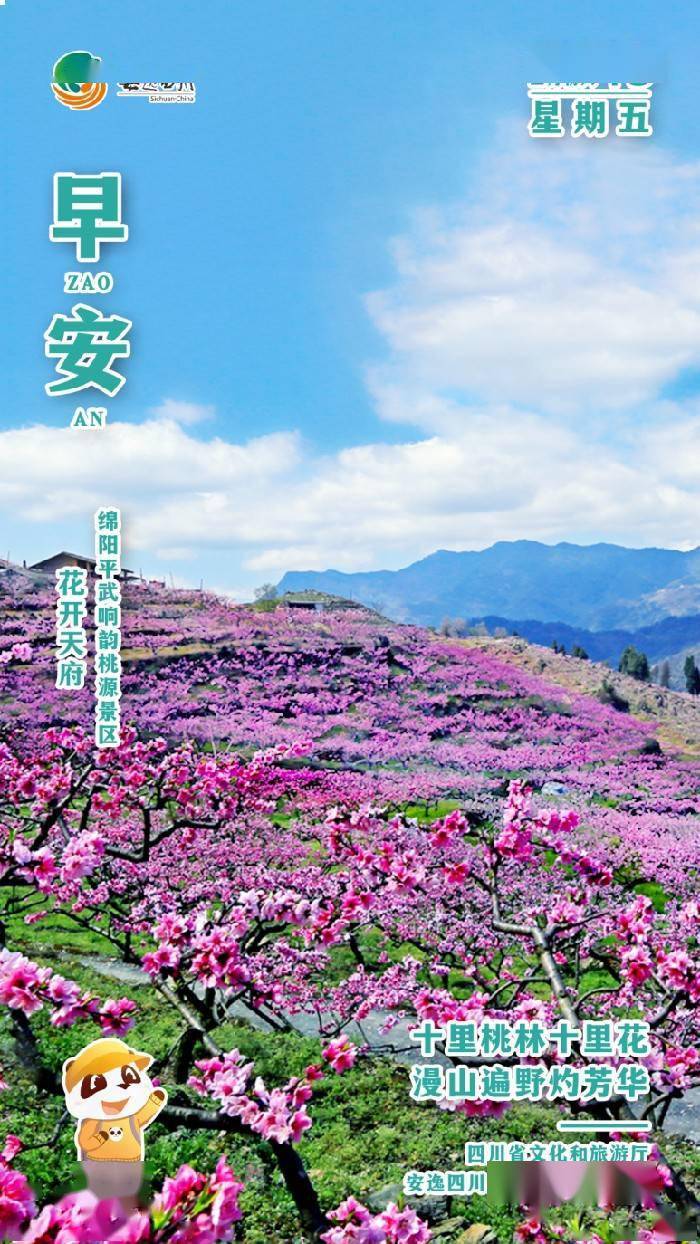 安逸四川日历海报｜​十里桃林十里花<strong></p>
<p>安逸花还款</strong>，漫山遍野灼芳华