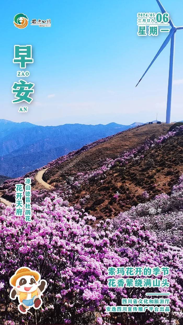 安逸四川日历海报｜索玛花开的季节<strong></p>
<p>安逸花还款</strong>，花香萦绕满山头