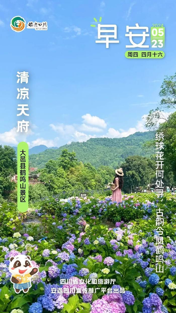 安逸四川日历海报｜绣球花开何处寻，古韵今风鹤鸣山