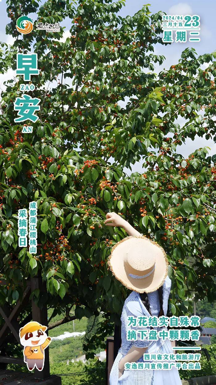 安逸四川日历海报｜为花结实自殊常，摘下盘中颗颗香