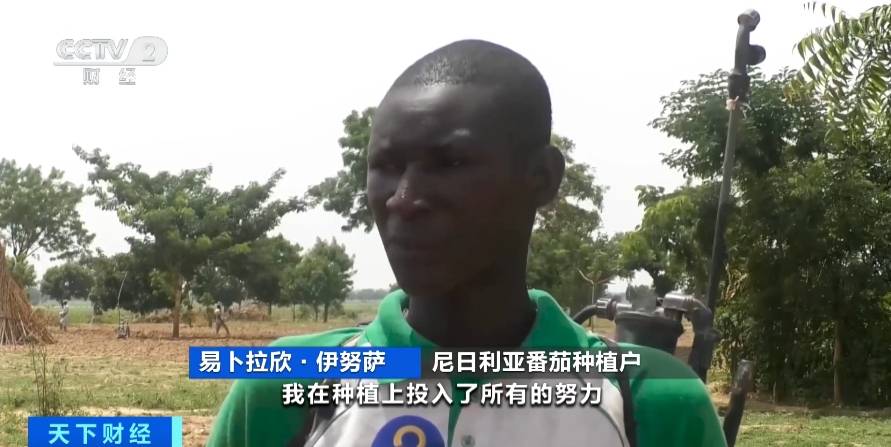 价格飙升20倍<strong></p>
<p>飙升币价格</strong>!虫害侵袭致尼日利亚番茄价格暴涨