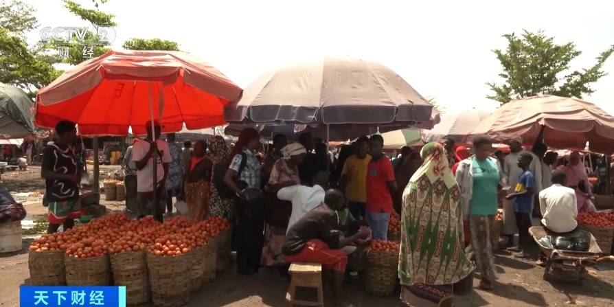 价格飙升20倍<strong></p>
<p>飙升币价格</strong>!虫害侵袭致尼日利亚番茄价格暴涨