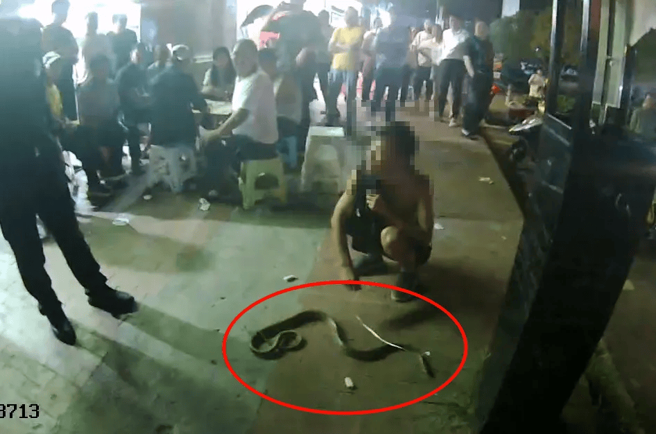 男子当街遛蛇<strong></p>
<p>5行币</strong>,被行拘5日