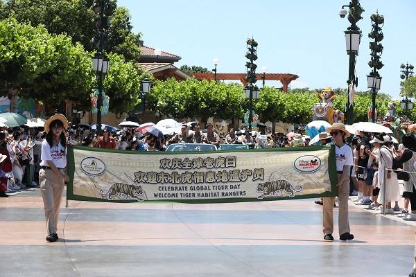 今天是“全球老虎日” 东北虎巡护员代表为上海迪士尼花车巡游领航