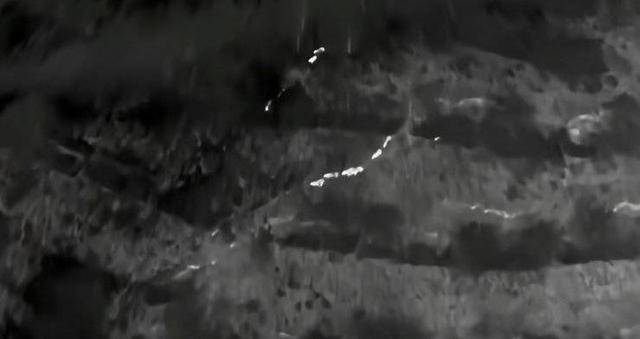 云南“6头野猪从天而降”<strong></p>
<p>币圈媒体价格表</strong>？实为被猎捕时跳崖 对话野猪“赏金猎人”：干这行不赚钱