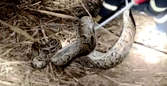 广东11月将迎3次降水<strong></p>
<p>币圈数据</strong>,4次冷空气!未来广州天气→