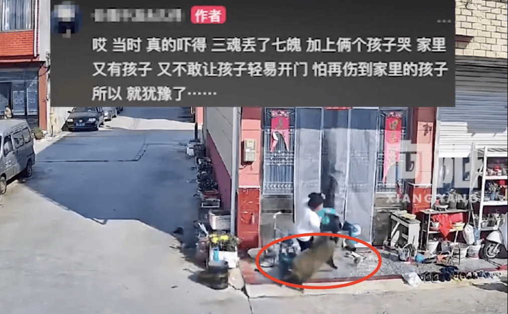 街头横冲直闯<strong></p>
<p>币圈数据</strong>，抱娃女子被撞伤，警方：已被特警击毙