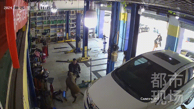 街头横冲直闯<strong></p>
<p>币圈数据</strong>，抱娃女子被撞伤，警方：已被特警击毙