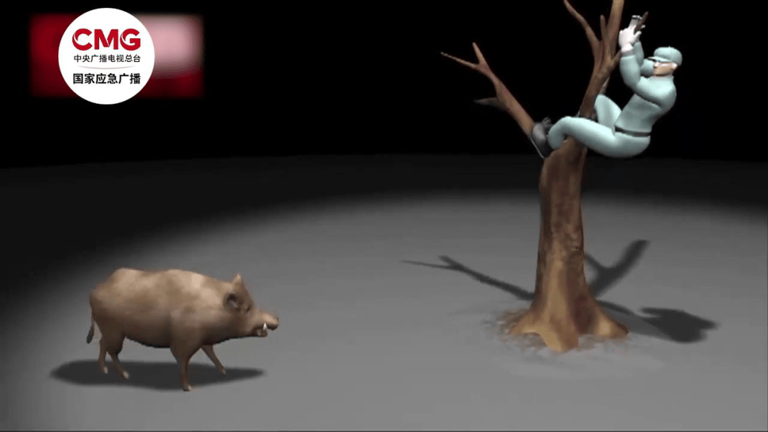 街头横冲直闯<strong></p>
<p>币圈数据</strong>，抱娃女子被撞伤，警方：已被特警击毙